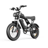 YVY C20(Q20) 20" Fat Tires Elektrofahrrad 1000W Motor 48V 20Ah Batterie