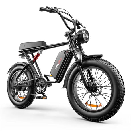 EMOKO C91 20" Fat Tire Elektro-Geländefahrrad 1000W Motor 48V 20Ah Batterie