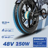 ENGWE EP-2 Pro 20" Fat Tire Faltbares Elektrofahrrad 250W Motor 48V 13Ah Batterie
