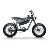 Himiway C5 20" Elektromotorrad 750W Motor 48V 20Ah Batterie