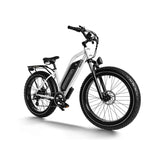 Himiway D3 ST (Cruiser ST) 26" All-Terrain-Step-Thru-Elektrofahrrad, 750-W-Motor, 48-V-15-Ah-Akku