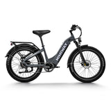 Himiway D5 ST (Zebra ST) 26" Fat Tire All-Terrain Elektrofahrrad 750W Motor 48V 20Ah Batterie