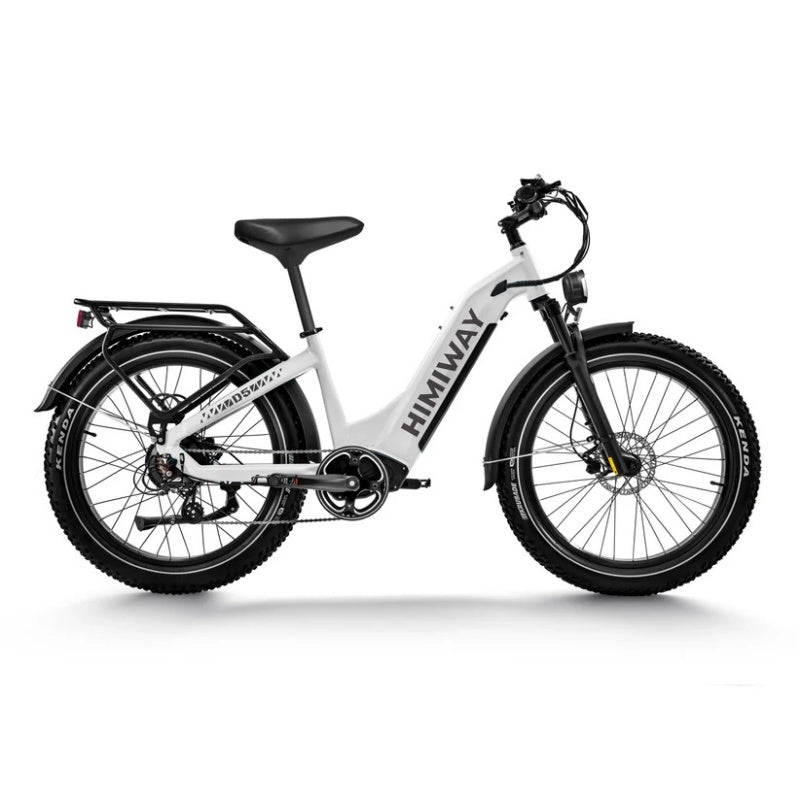 Himiway D5 ST (Zebra ST) 26" Fat Tire All-Terrain Elektrofahrrad 750W Motor 48V 20Ah Batterie