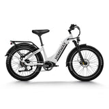 HIMIWAY D5 ST (Zebra ST) 26" Fat Tire All-Terrain Elektrofahrrad 750W Motor 48V 20Ah Batterie