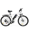 Hitway BK15  26" Elektrofahrrad Mountainbike 250W Motor 36V 12Ah Batterie