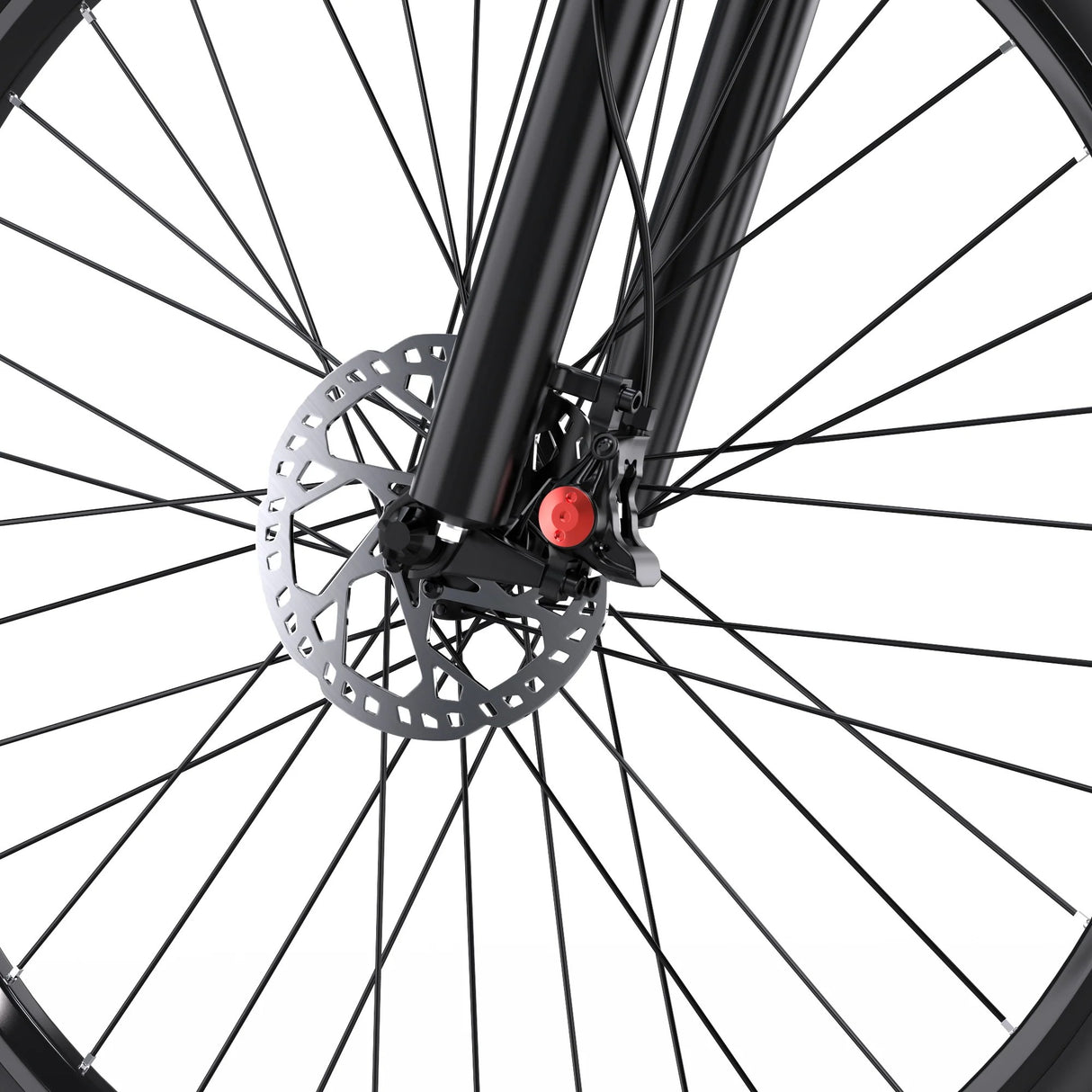DUOTTS C29-L 29" Elektrisches Mountainbike 750W Motor 48V 15Ah Batterie