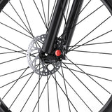 DUOTTS C29-L 29" Elektrisches Mountainbike 750W Motor 48V 15Ah Batterie