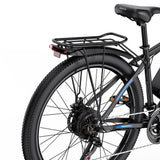 DUOTTS C29-L 29" Elektrisches Mountainbike 750W Motor 48V 15Ah Batterie