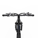 DUOTTS C29-L 29" Elektrisches Mountainbike 750W Motor 48V 15Ah Batterie