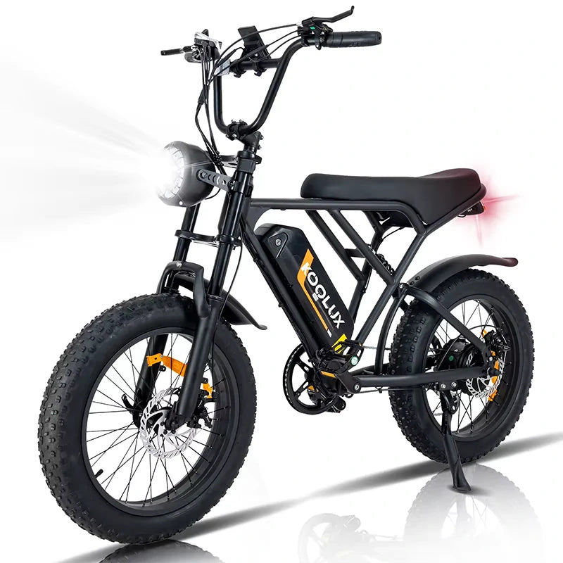 Koolux BK29 20" Fat Tire All-Terrain Elektrofahrrad 250W Motor 48V 18Ah Batterie