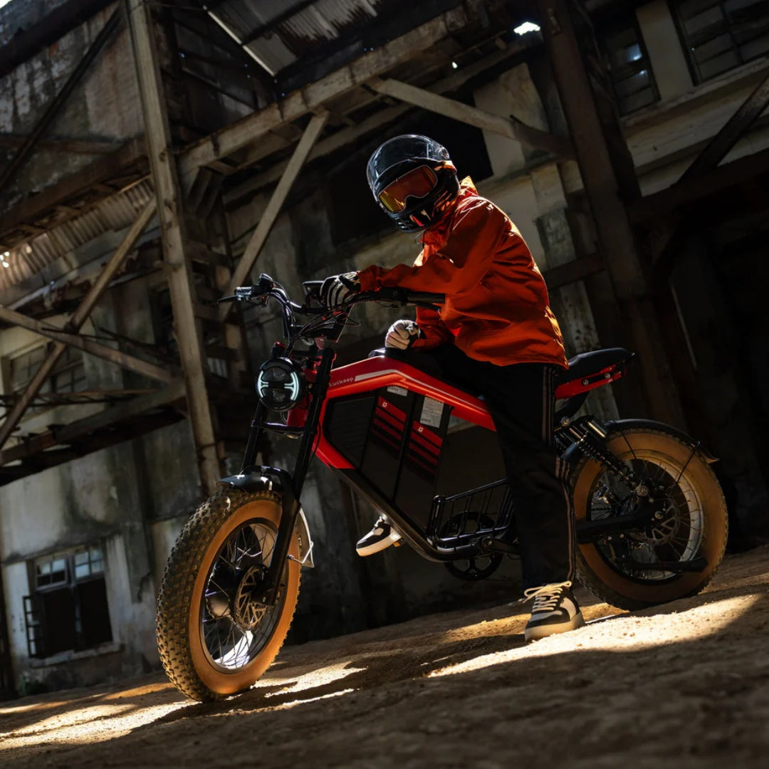 LUCKEEP M5 Ultra 20" Elektro-Dirt-Bike 1000W*2 Dual-Motoren 52V 20Ah+20Ah Batterie