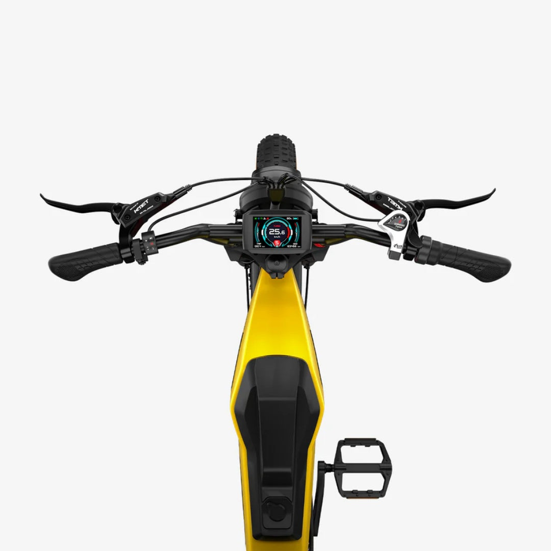 LUCKEEP M5 Ultra 20" Elektro-Dirt-Bike 1000W*2 Dual-Motoren 52V 20Ah+20Ah Batterie