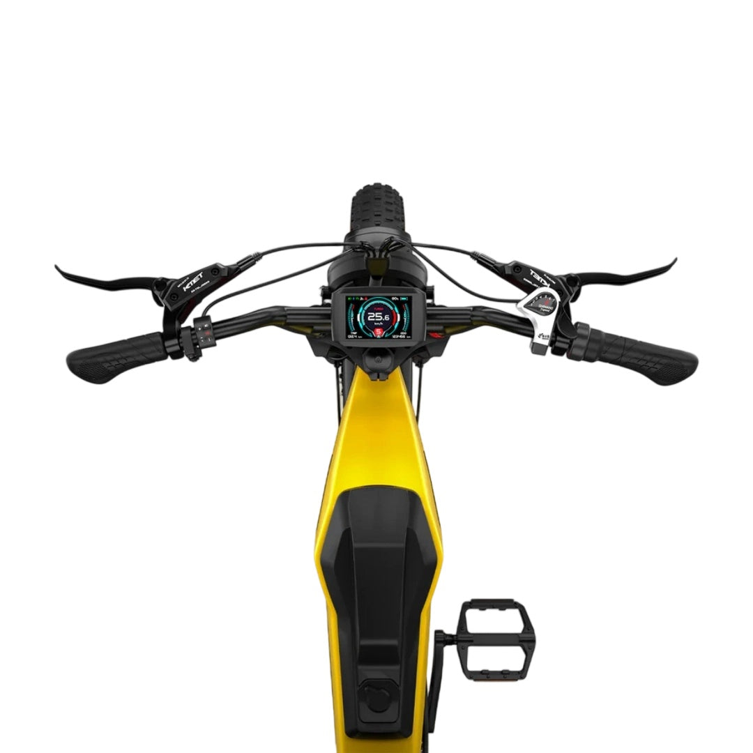 LUCKEEP M5 Ultra 20" Elektro-Dirt-Bike 1000W*2 Dual-Motoren 52V 20Ah+20Ah Batterie