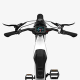 LUCKEEP M5 Ultra 20" Elektro-Dirt-Bike 1000W*2 Dual-Motoren 52V 20Ah+20Ah Batterie