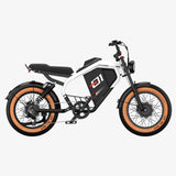 LUCKEEP M5 Ultra 20" Elektro-Dirt-Bike 1000W*2 Dual-Motoren 52V 20Ah+20Ah Batterie