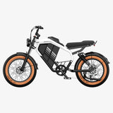 LUCKEEP M5 Ultra 20" Elektro-Dirt-Bike 1000W*2 Dual-Motoren 52V 20Ah+20Ah Batterie