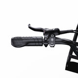 ONESPORT OT01 20" Step-Through Longtail Cargo Elektrofahrrad 650W Motor 48V 27Ah Batterie