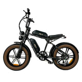 PVY X20 20" Fat Tire Elektro-Dirt Bike 250W Motor 48V 30Ah Batterie