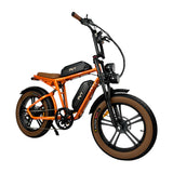 PVY X20 20" Fat Tire Elektro-Dirt Bike 250W Motor 48V 30Ah Batterie