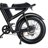 RIDING'TIMES 20" Fette Reifen Geländegängiges Elektrofahrrad 500W Motor 48V 15Ah Batterie