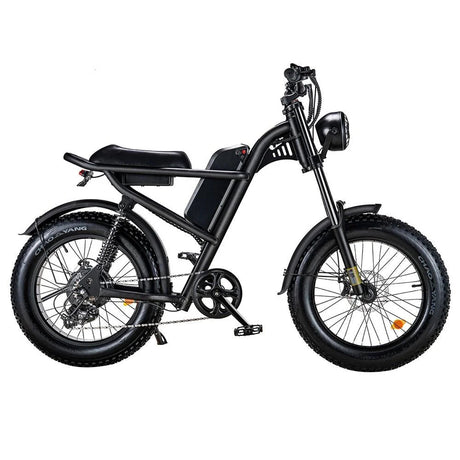 RIDING'TIMES 20" Fette Reifen Geländegängiges Elektrofahrrad 500W Motor 48V 15Ah Batterie