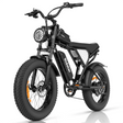 Ridstar-Q20-Lite-Fat-Tires-Elektrofahrrad-1000W-Motor-48V-15Ah-Batterie-schwarz